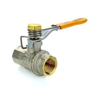 JOULE 3/4 BALL VALVE WITH FILTER