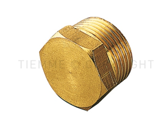 DN16 1500040 1/2" Male Brass Cap